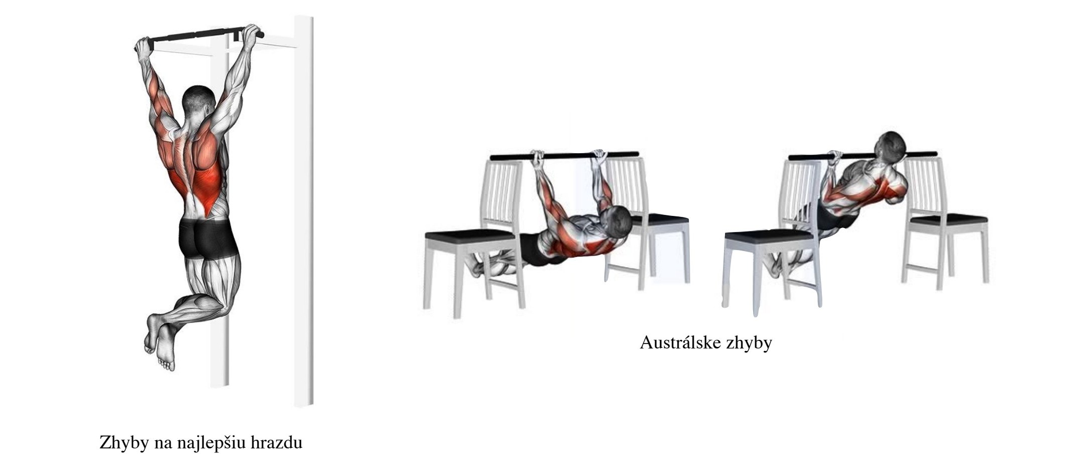 Zhyby na hrazde a austrálske zhyby