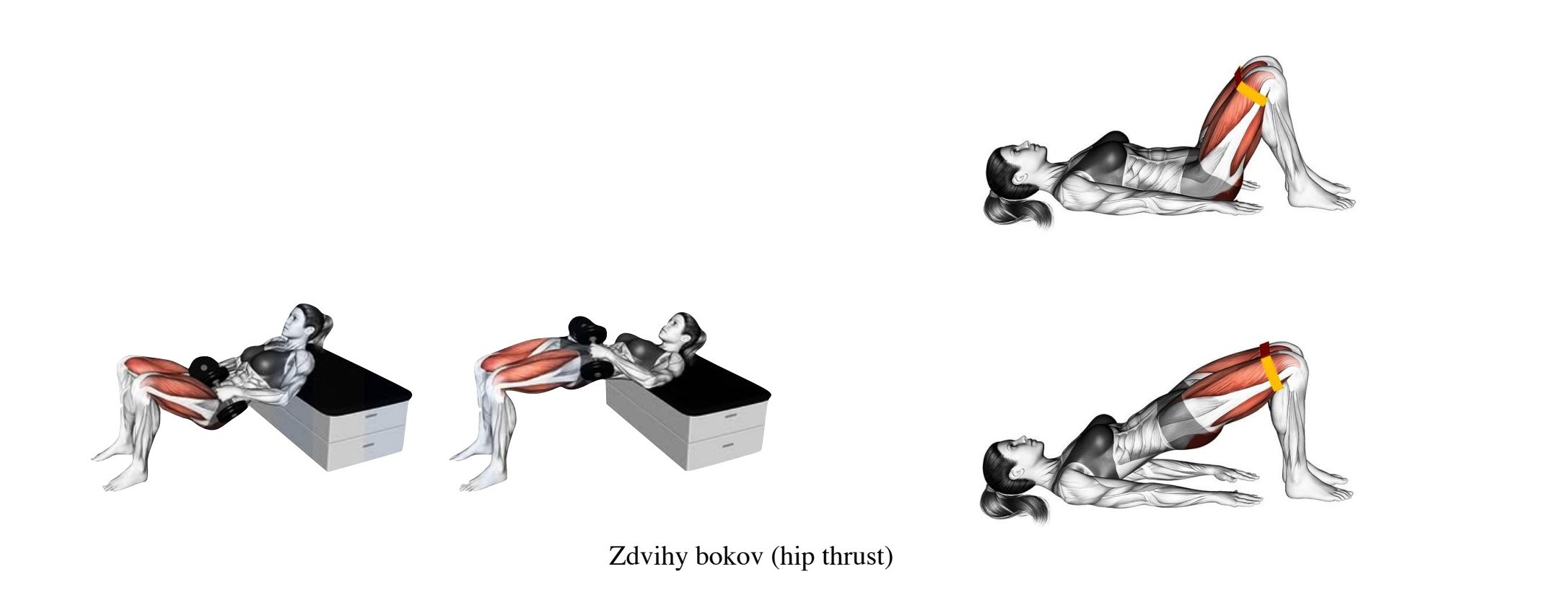 Ilustrácia zdvihov bokov