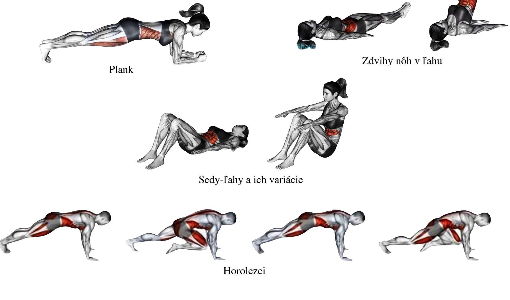 Ilustrácie plank, zdvihy nôh, sedy-ľahy a horolezci